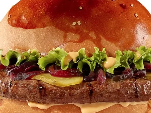 Çöpsburger (100 g)