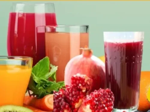 Karışık Meyve Suyu (500 ml)
