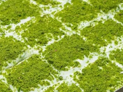 KAYMAKLAVA Fıstıklı Kaymaklı Kadayıf (750 g)