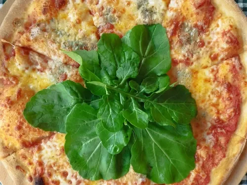 Dört Peynirli Pizza (Büyük Boy)
