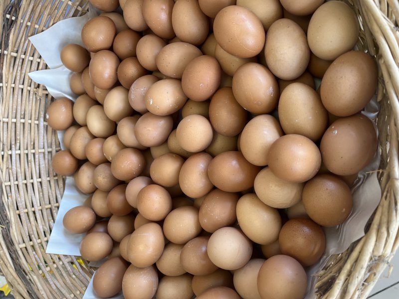 Doğal Köy yumurtası 