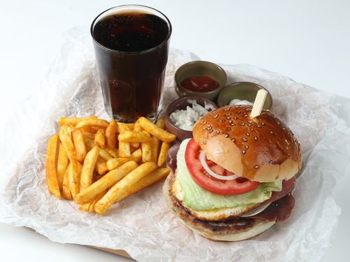 Protein Burger