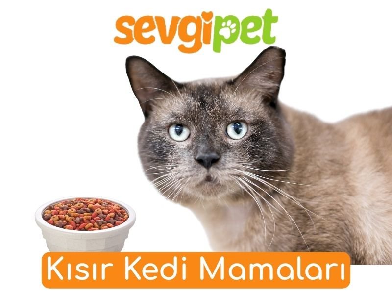 Kısır Kedi Mamaları