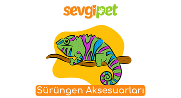 Sürüngen Aksesuarları