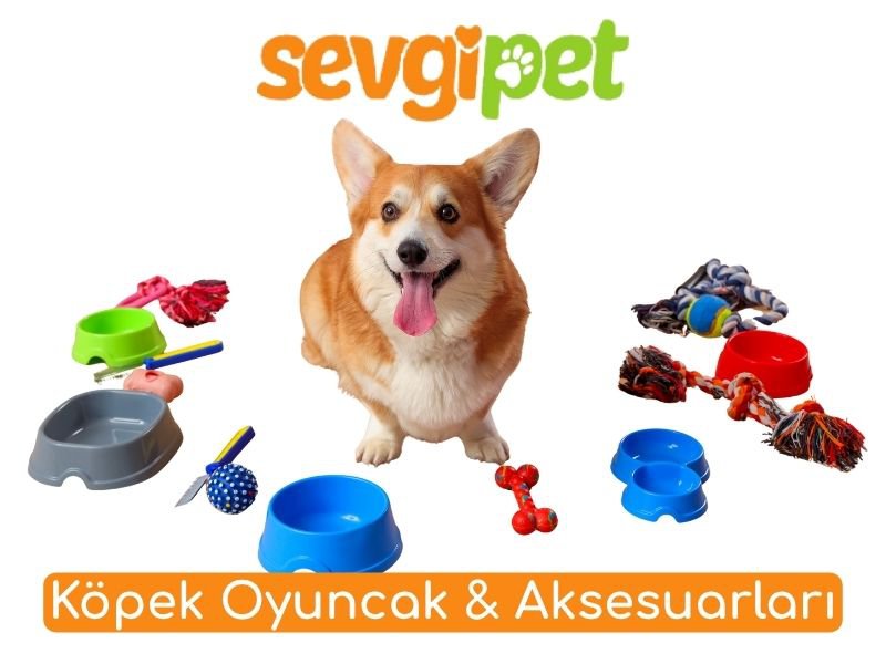 Köpek Oyuncak & Aksesuarları