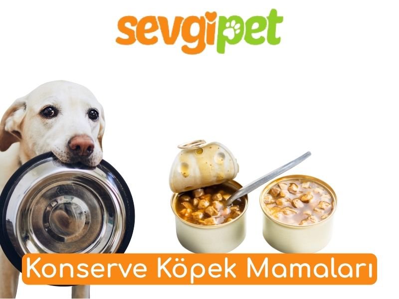 Konserve Köpek Mamaları