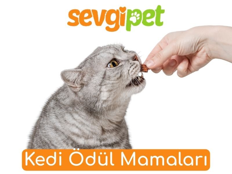 Kedi Ödül Mamaları