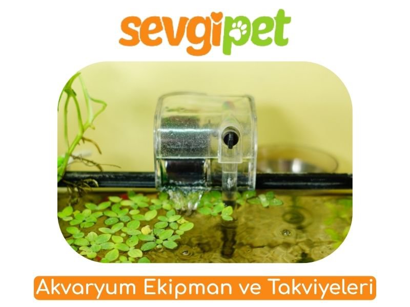 Akvaryum Ekipman ve Takviyeleri