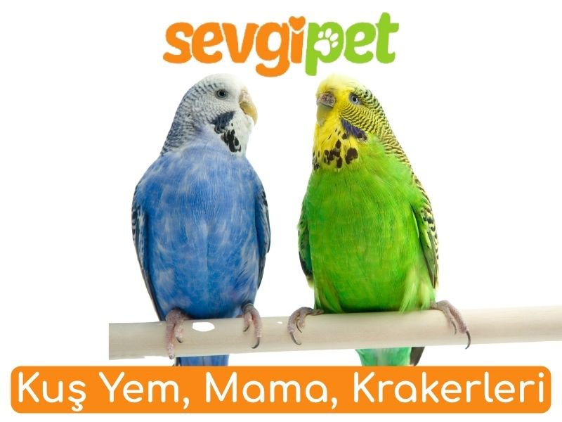 Kuş Yem, Mama, Krakerleri