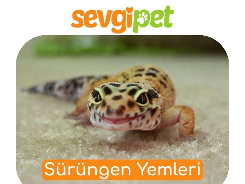 Sürüngen Yemleri