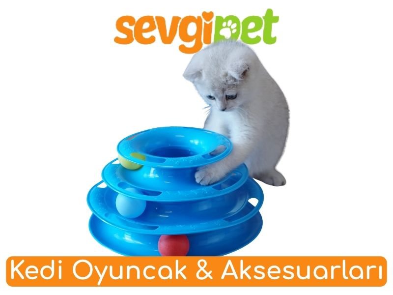 Kedi Oyuncak & Aksesuarları