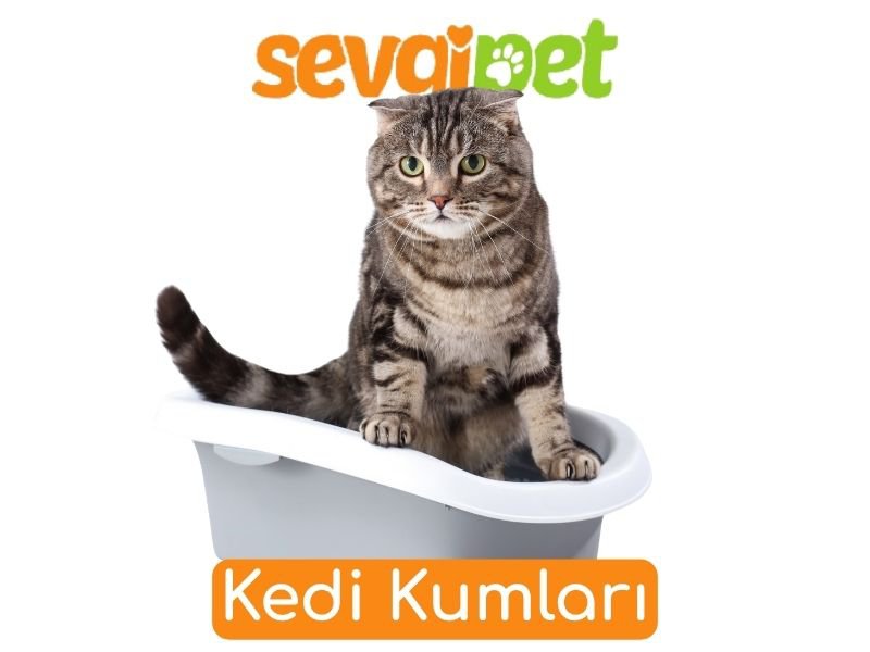Kedi Kumları