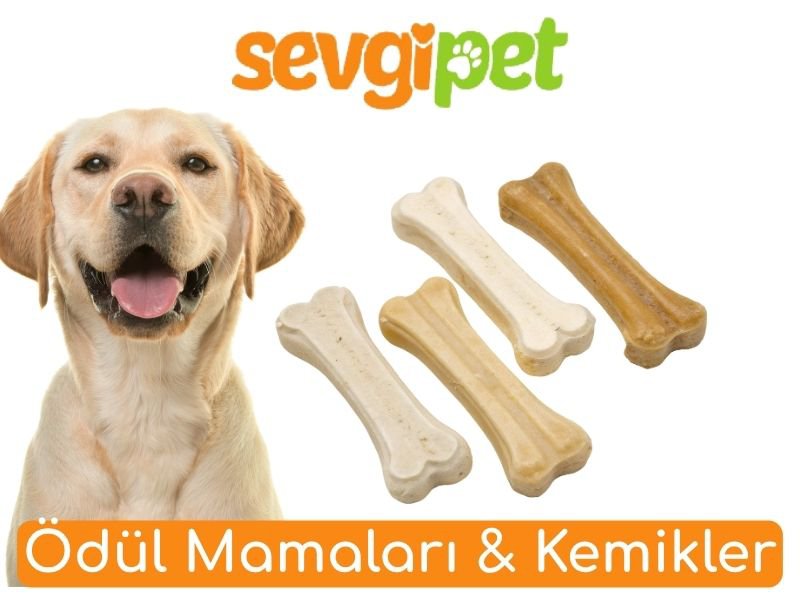 Ödül Mamaları & Kemikler