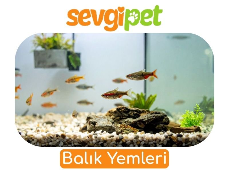 Balık Yemleri