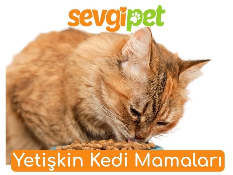 Yetişkin Kedi Mamaları