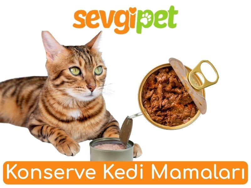 Konserve Kedi Mamaları