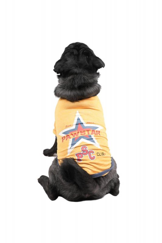 Pawstar Locus Kedi ve Köpekler İçin Mont (L)