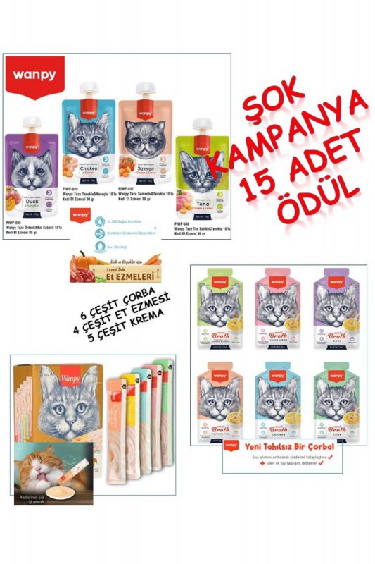 Wanpy Tahılsız Somonlu Yetişkin Kedi Maması (1,5 kg)