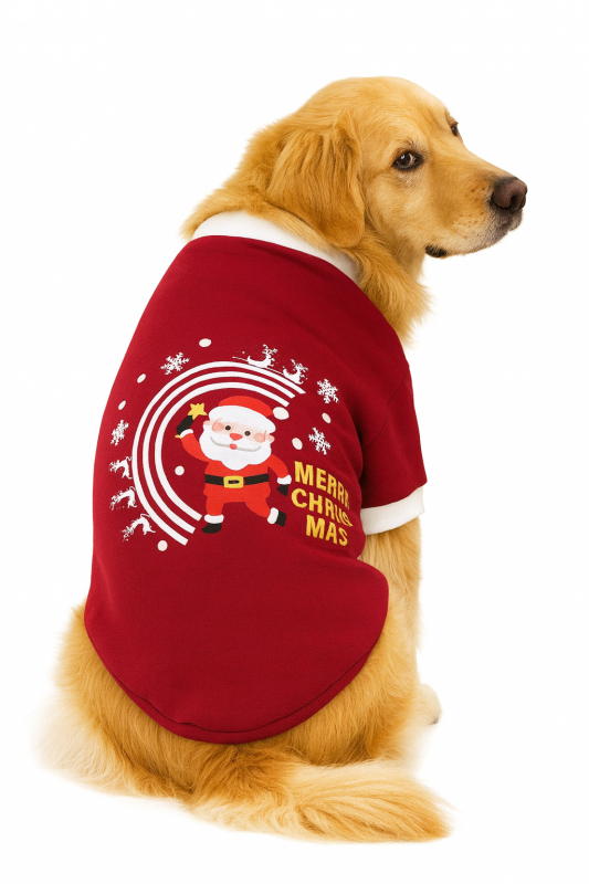 YILBAŞI TEMALI KÖPEK KIYAFETLERİ - (XS–S–M–L–XL)