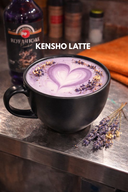KENSHO LATTE