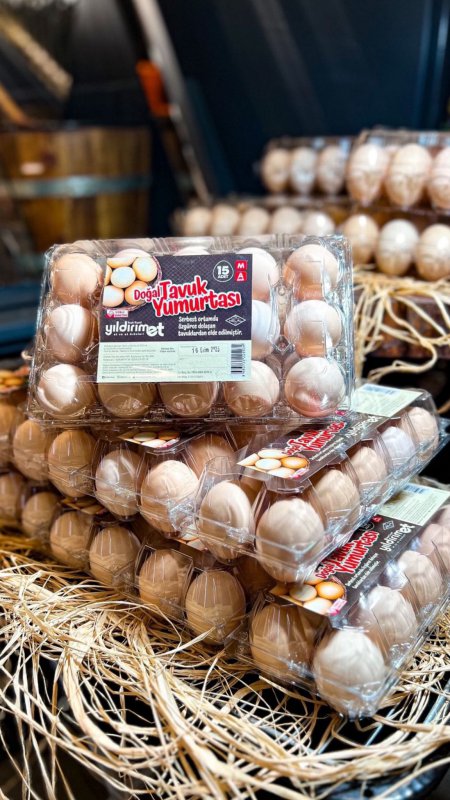 Doğal Gezen Tavuk Yumurtası (15)