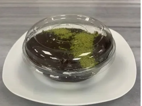 Kumruburger