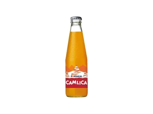 Çamlıca Portakal (330 ml)