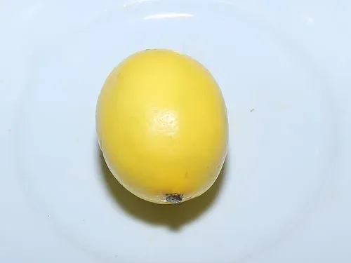 Limon